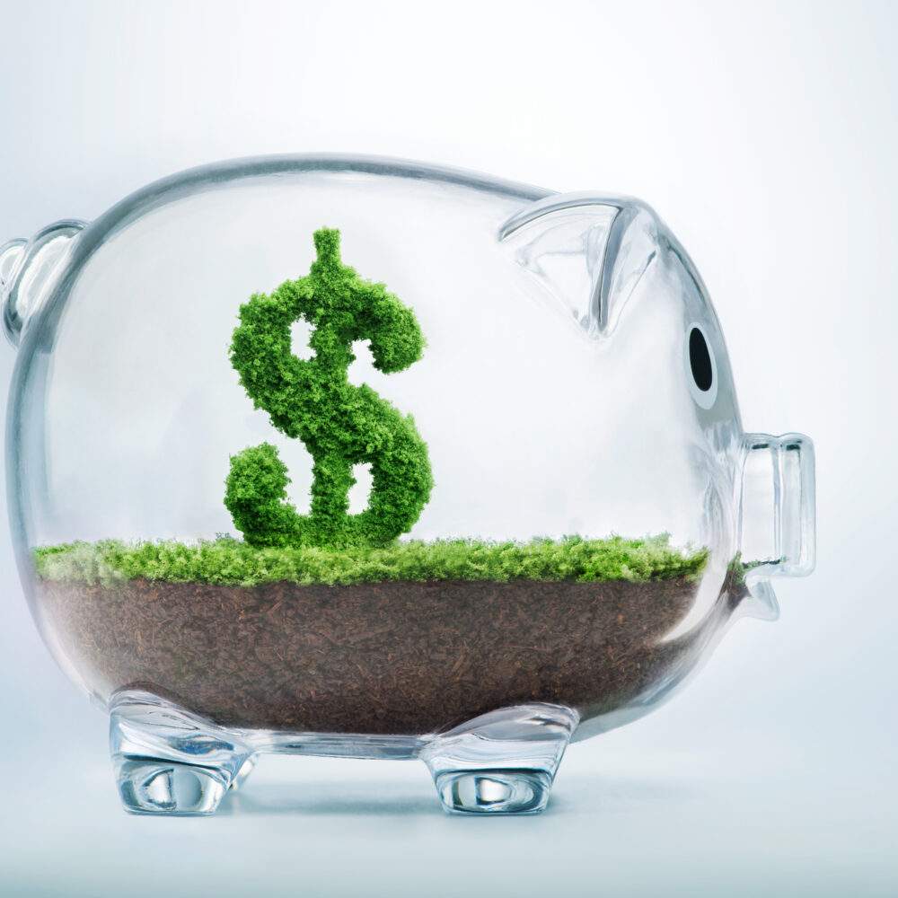 Piggy bank savings concept demonstrating buyers consolidation program.